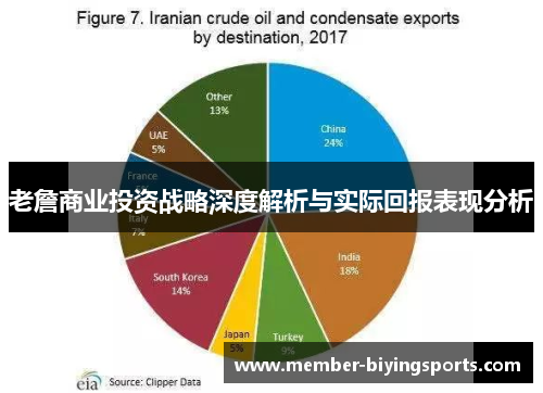 老詹商业投资战略深度解析与实际回报表现分析
