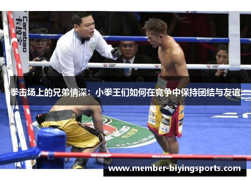 拳击场上的兄弟情深：小拳王们如何在竞争中保持团结与友谊
