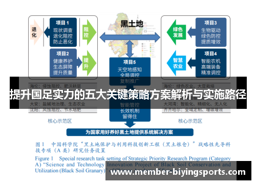 提升国足实力的五大关键策略方案解析与实施路径