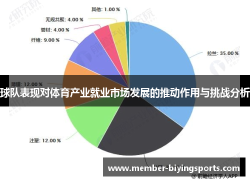 球队表现对体育产业就业市场发展的推动作用与挑战分析