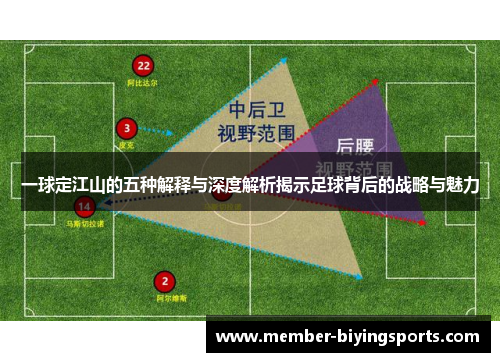 一球定江山的五种解释与深度解析揭示足球背后的战略与魅力