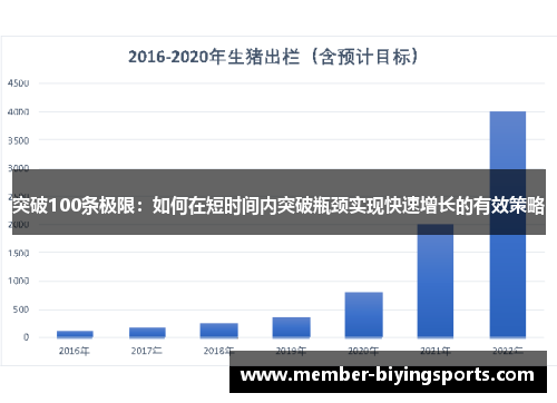 突破100条极限：如何在短时间内突破瓶颈实现快速增长的有效策略