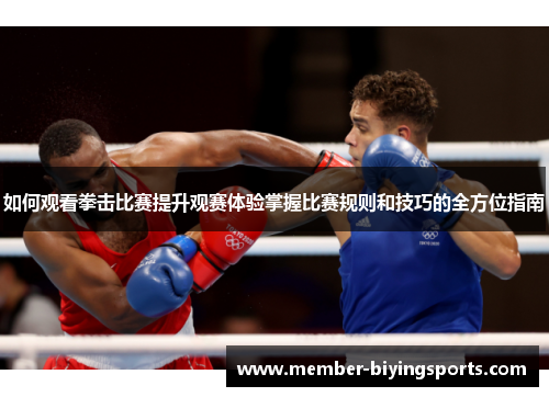 如何观看拳击比赛提升观赛体验掌握比赛规则和技巧的全方位指南